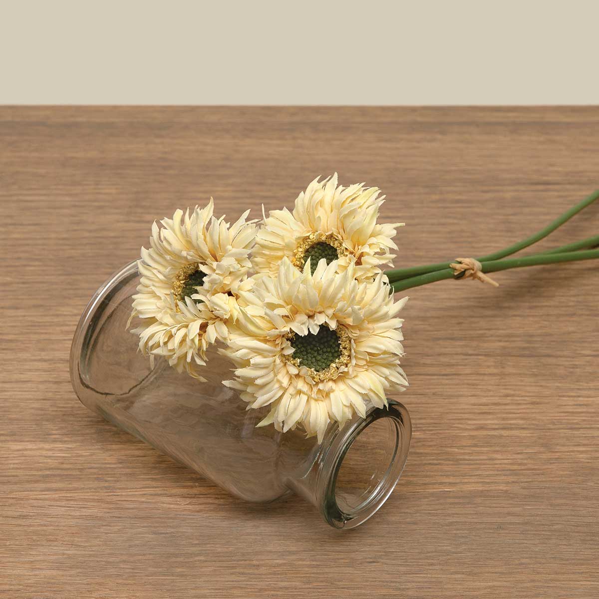 BUNDLE OF 3 GERBERA CREAM 2.5IN X 11IN POLYESTER TIED WITH RAFFI - Click Image to Close